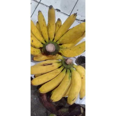

Pisang Barangan manis enak