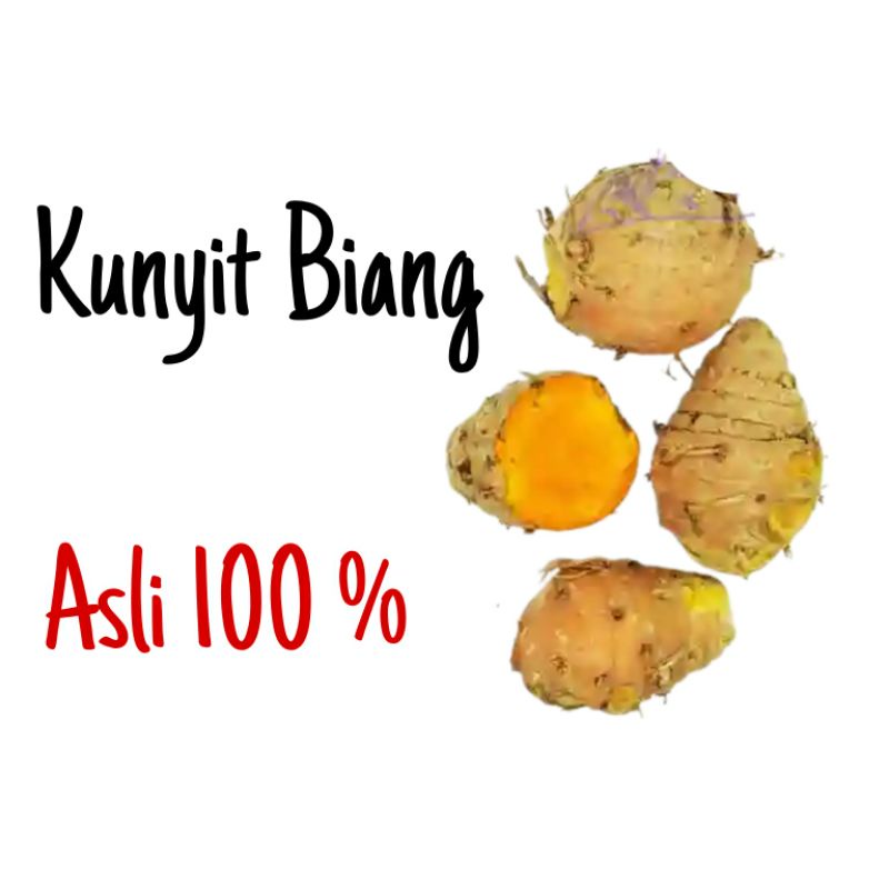 

Kunyit Biang 1 Kg Asli