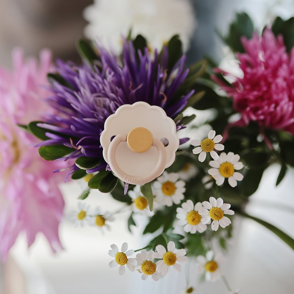 FRIGG Daisy Colorblock Silky Soft Silicone Pacifier | Empeng Dot Bayi