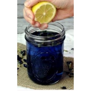 

Terlaris ✨ -Teh Herbal Bunga Butterfly Pea Tea 50g- 2.1.23