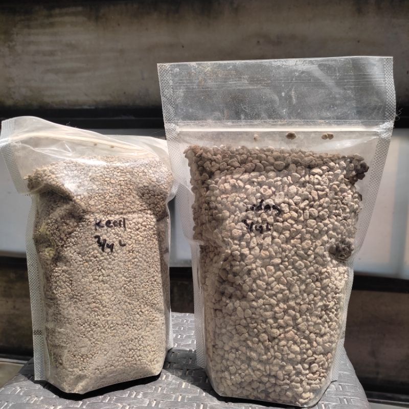 Media Tanam Pumice Lombok