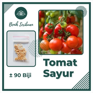 90 Benih Tomat Sayur Merah Karuna Dataran Rendah Unggul Berkualitas - Bibit Tanaman Sayuran Seribuan