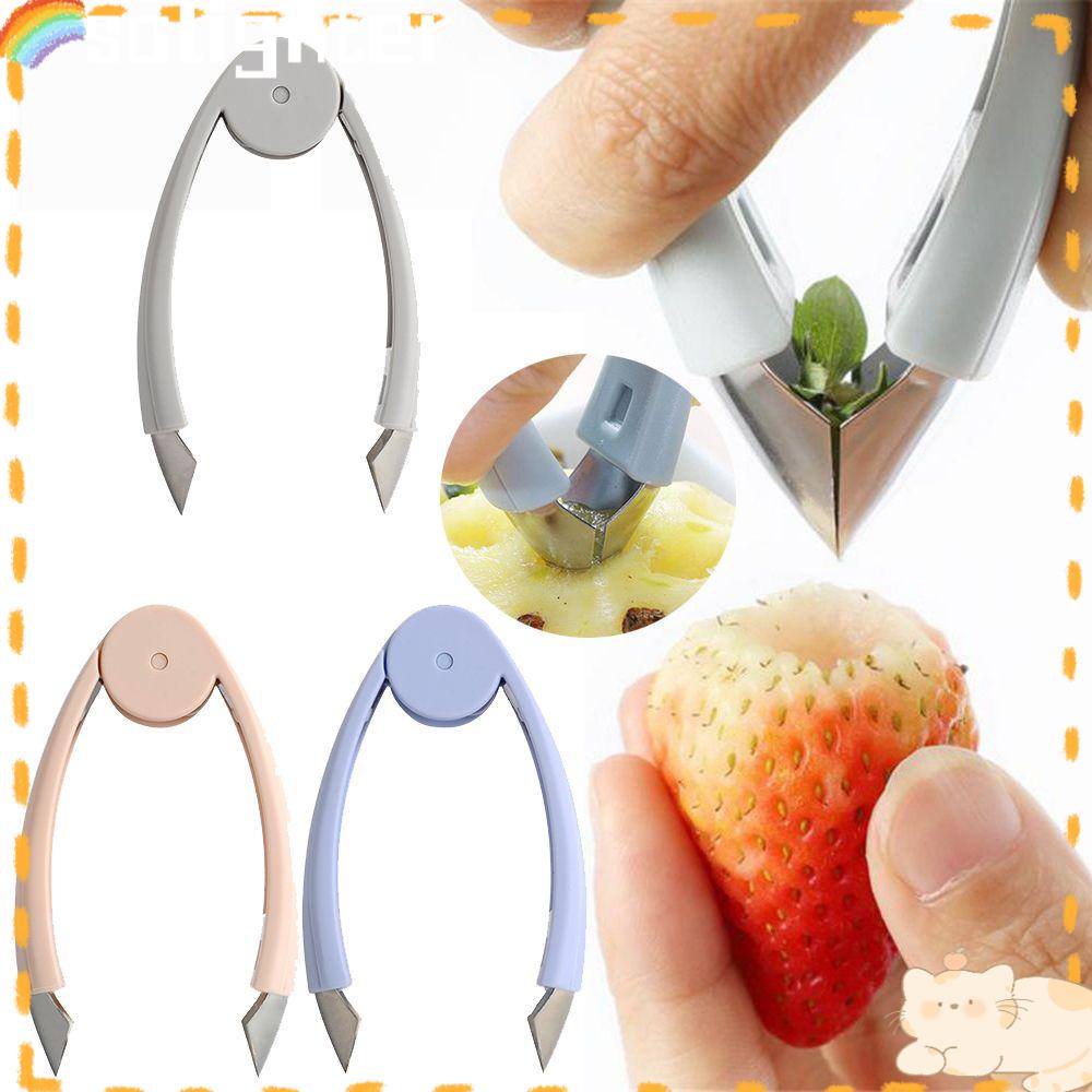 Solighter Pengupas Mata Nanas Tomat Dapur Rumah Buah S eed Remover Clip