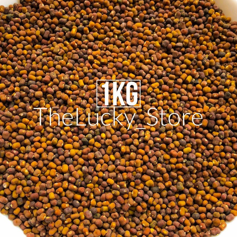 Benih Bibit Tanaman / Biji Kacang Kacangan PJ Pueraria Javanica