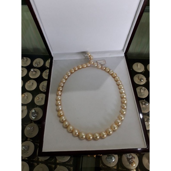 kalung mutiara laut campagne AAA