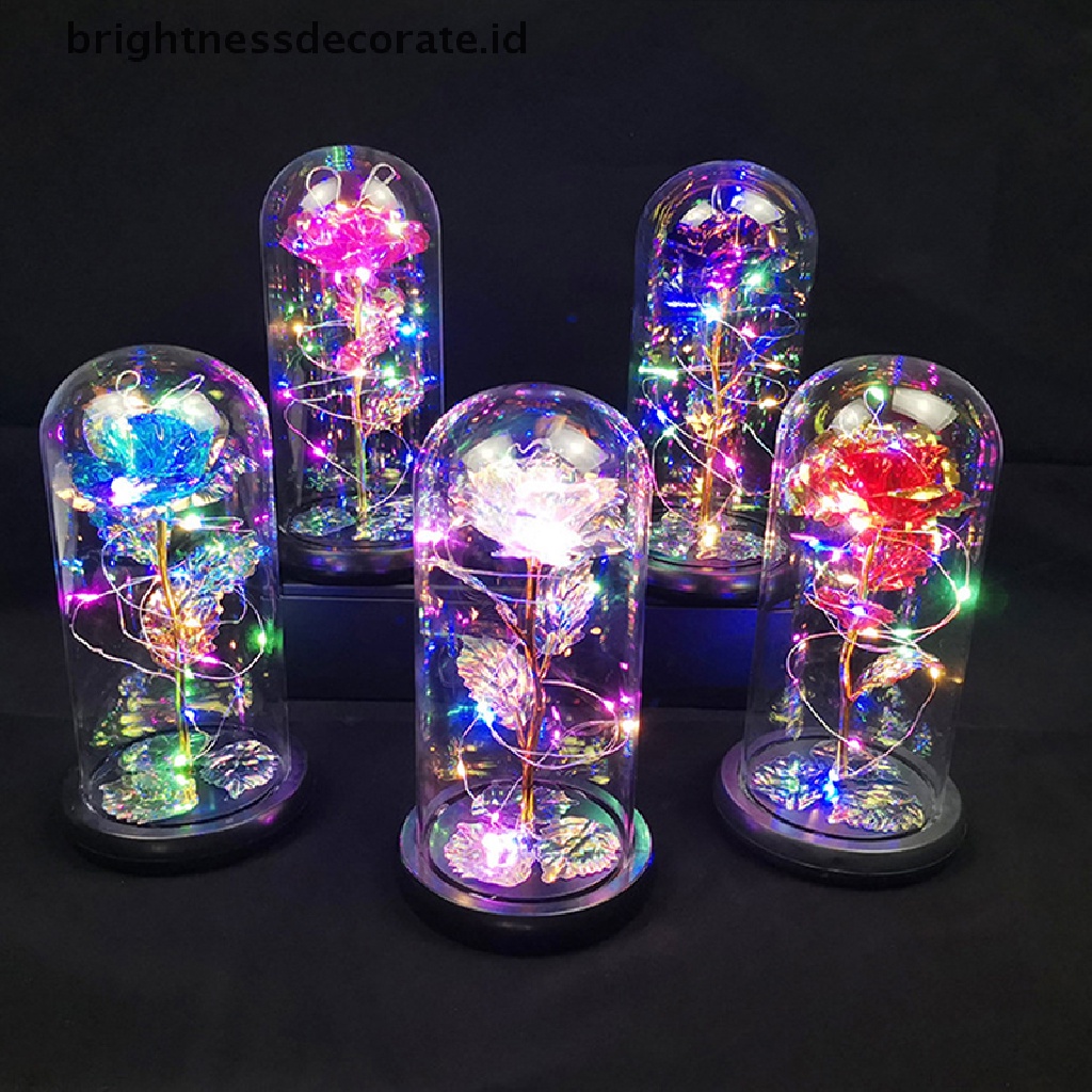 [Birth] Beauty and the Beast Bunga Mawar Penutup Kaca Lampu LED Valene's Day Gift [ID]