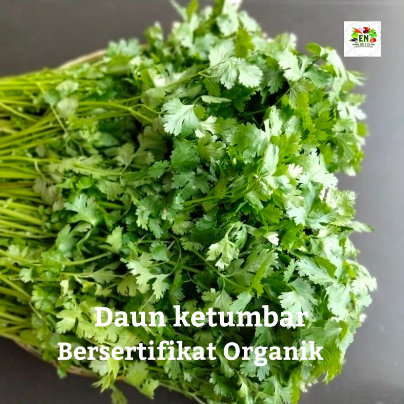 

1pack Herb Daun Ketumbar 100% Sertifikat Vegetable Murah Sehat Healthy Life Grosir Supermarket