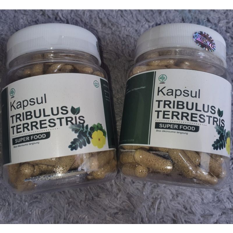 tribulus privasi