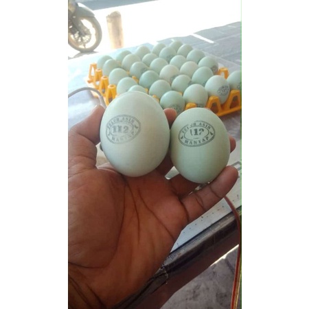 

telur asin masir 112 mantap