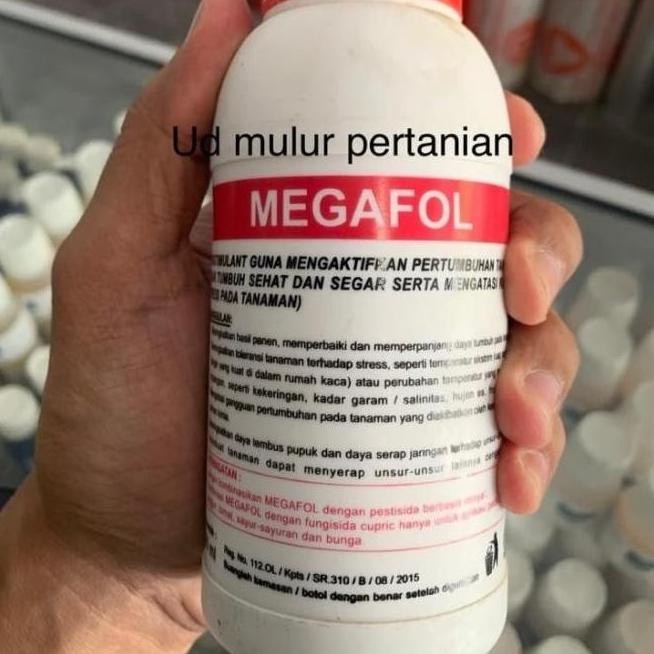 penahan virus peningkat sistem imun VALAGRO MEGAFOL 250 ml Qink