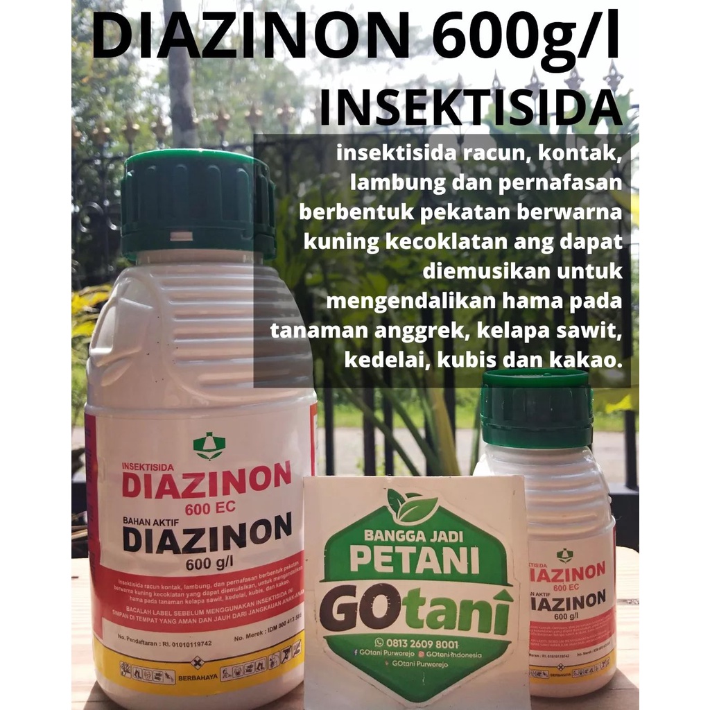 DIAZINON 600EC INSEKTISIDA