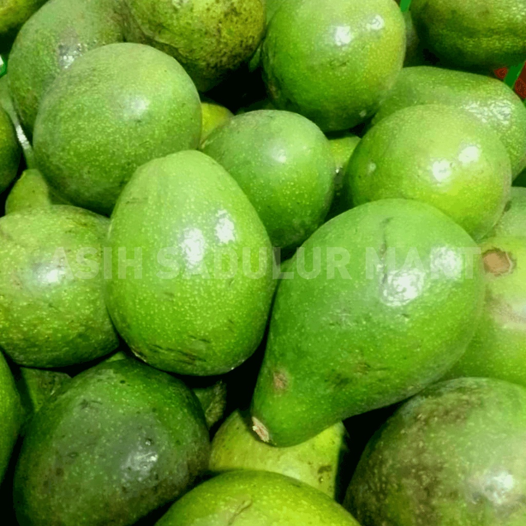 Alpukat Mentega 1kg Buah Segar Kota Bandung | Asih Sadulur Mart