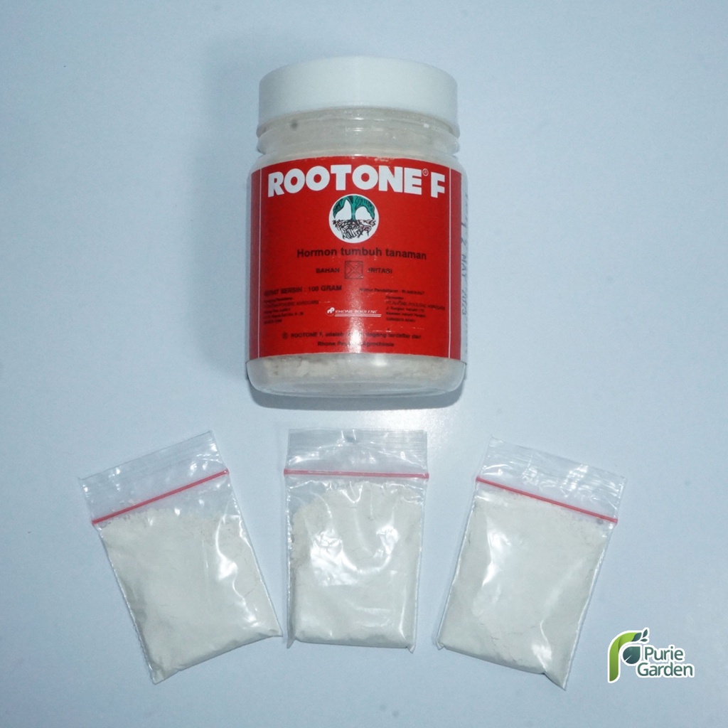 Pertumbuhan Akar Stek Cangkok Rootone F Hormon ZPT 5gr PG KDR