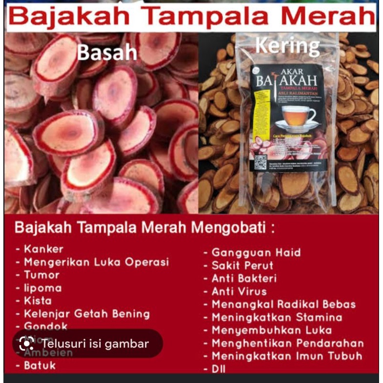 

akar bajakah