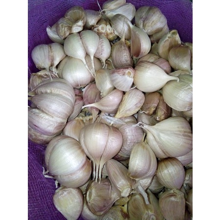 

Bawang Putih 100gr