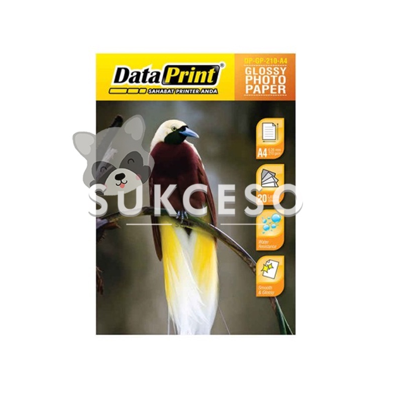 

Data Print Kertas Photo Glossy A4 210gr