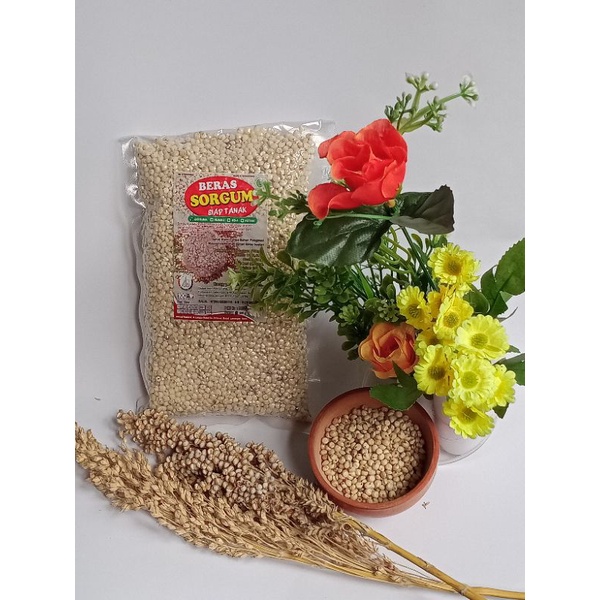 

Beras Sorgum/Merk produk OREAN di produksi oleh Rumah Sorgum Indonesia