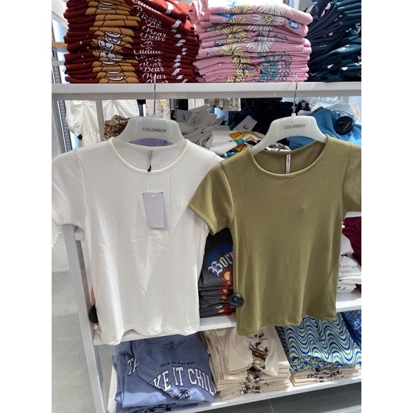 COLORBOX Tshirt/Kaos polos wanita (S-XL)