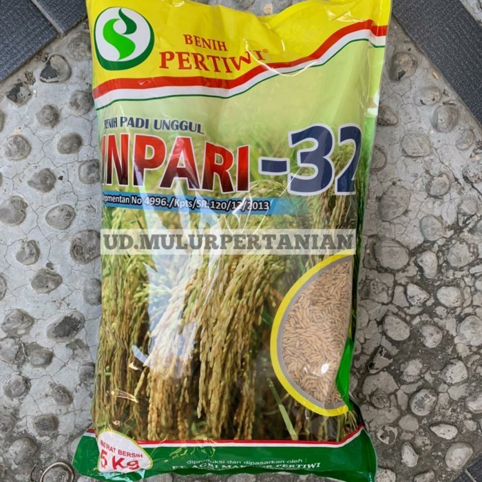 Suplayer Benih Padi Unggul Inpari 32 Dari Benih Pertiwi Isi 5 Kg