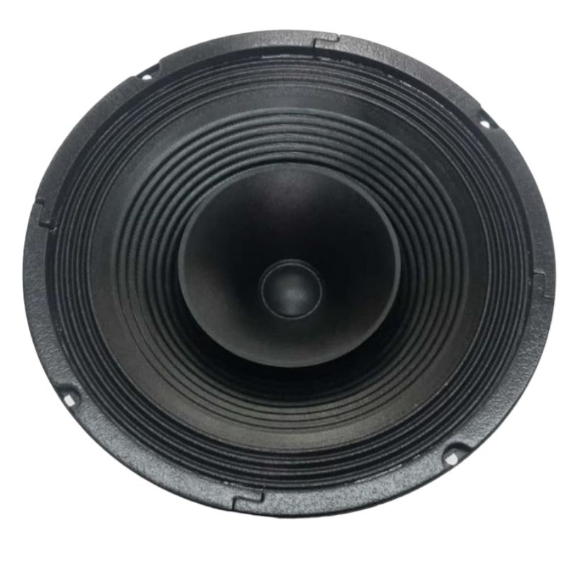 speaker 10 inch full range ACR 1018 hw