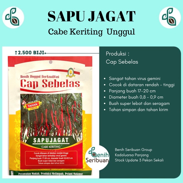 Benih Cabe Keriting Unggul Varietas Sapu Jagat Cap Sebelas 2500 Biji