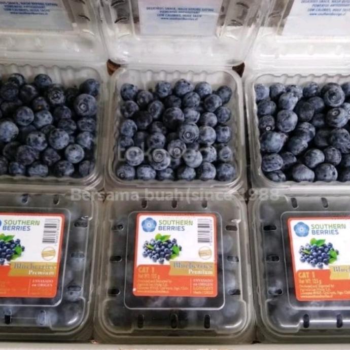 Buah Blueberry Import Fresh Per Dus Heiyyaluv