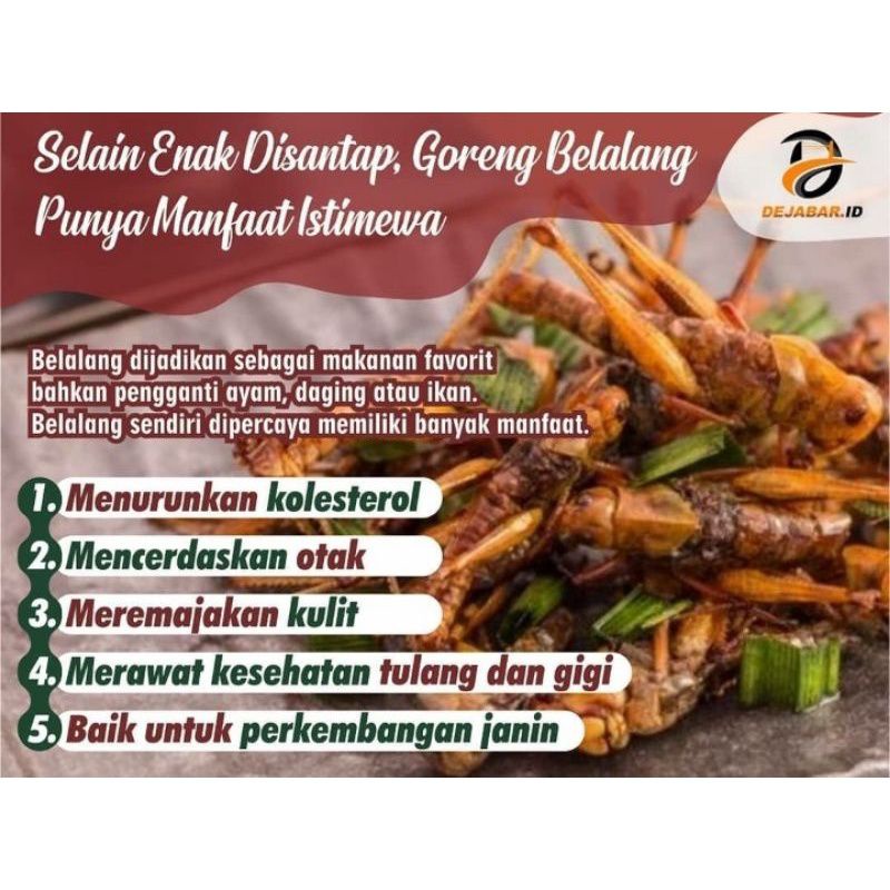 BELALANG GORENG 50 GRAM