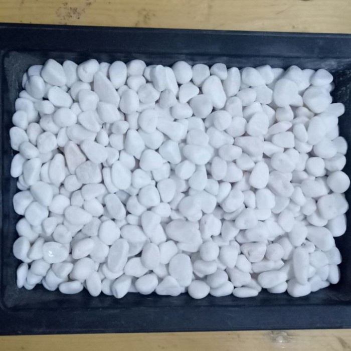 Hiasan Batu Putih Salju 10 Kg (Batu Alam Koral Sikat Hias Taman)