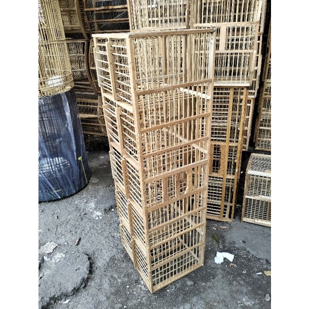 KANDANG DONDANG BURUNG DARA MERPATI PINTU 10.