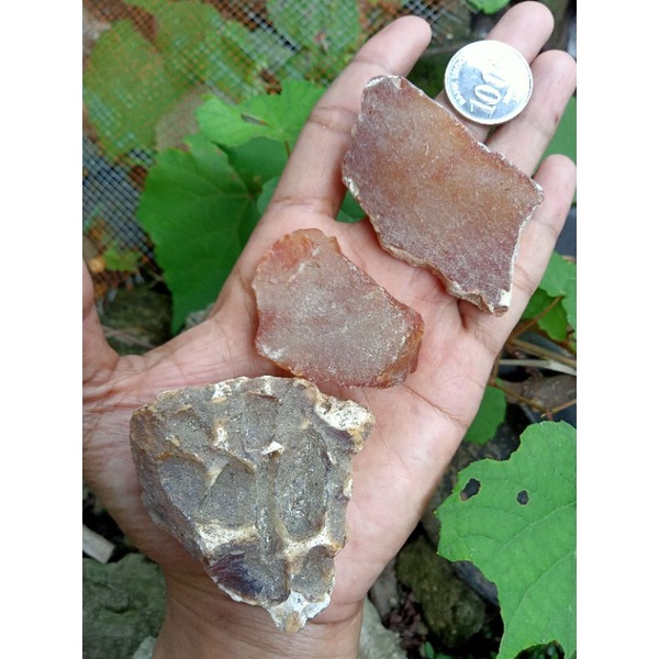 ✅ Paket Batu Cempaka Aceh isi 3 Rough ( Bahan Batu Akik Natural asli Aceh - bukan bacan obi raflesia
