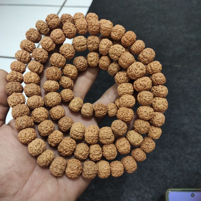 kalung jenitri rudraksha