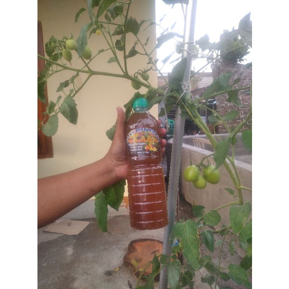pupuk organik cair (pupuk pembuah)