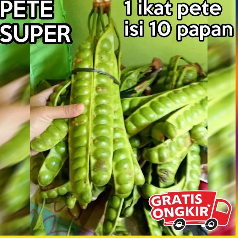 

NEW ARRIVAL J869 paket 10 papan pete segar / 1 ikat ぢ