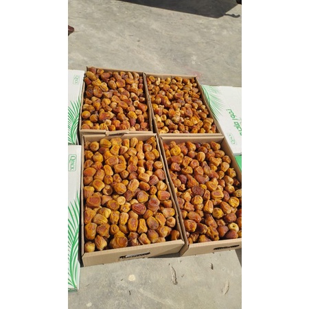 

Kurma Sukkari 3kg Almira Dus Random