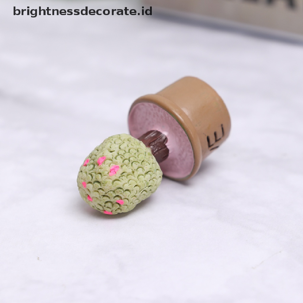 [Birth] 5pcs Miniatur Dalam Pot Untuk Dekorasi Furniture Rumah Boneka Home [ID]