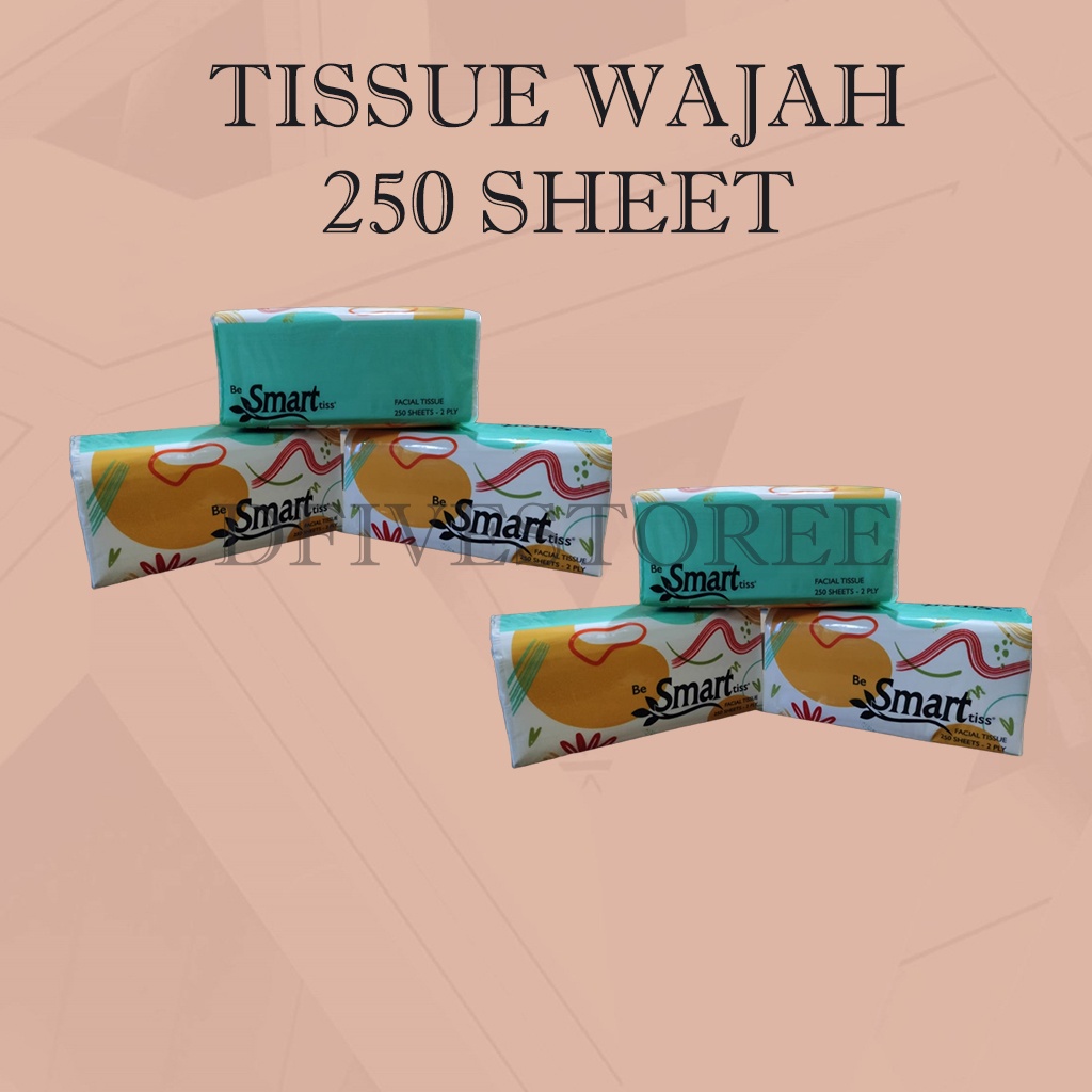 (6 PC) FACIAL TISSUE TISU WAJAH BE SMART TISS ISI 250 SHEET 2 PLY TISU RUMAH