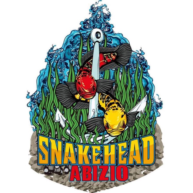 stiker Channa Yellow Sentarum 20 cm