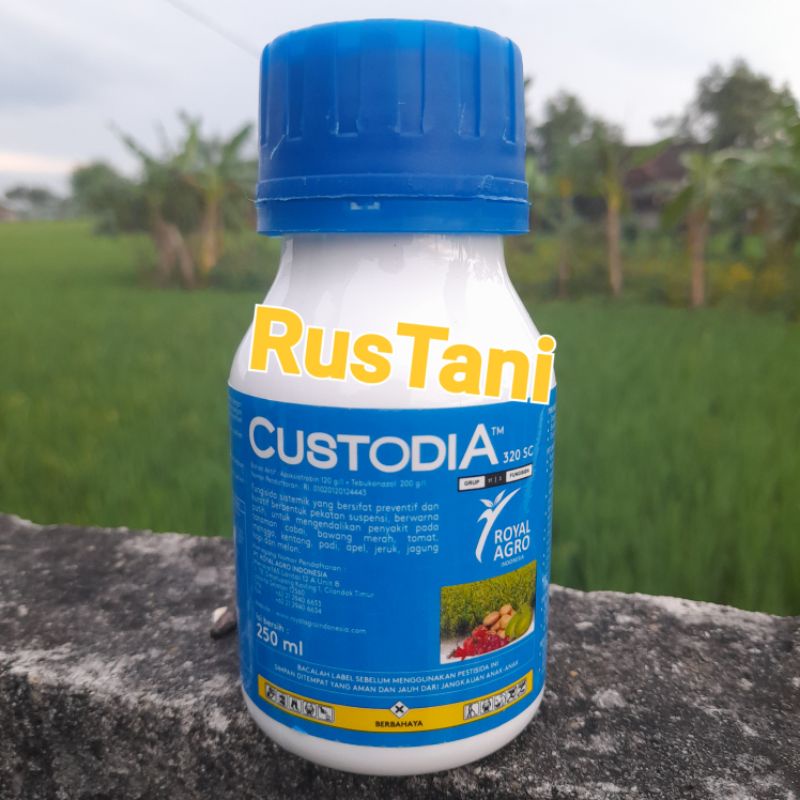 Fungisida Custodia 320sc 250ml Bahan aktif : Azoksistrobin 120g/l + tebuconazole 200g/l