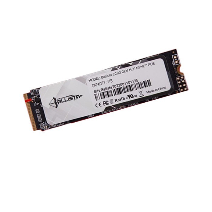 Paradox Gaming Ballista SSD 256GB M.2 NVMe 2280 / SSD M.2 256GB