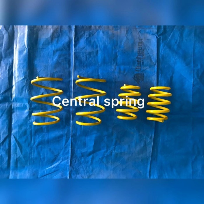 loweringkit per ceper custom BMW E46 318i 323i 325i