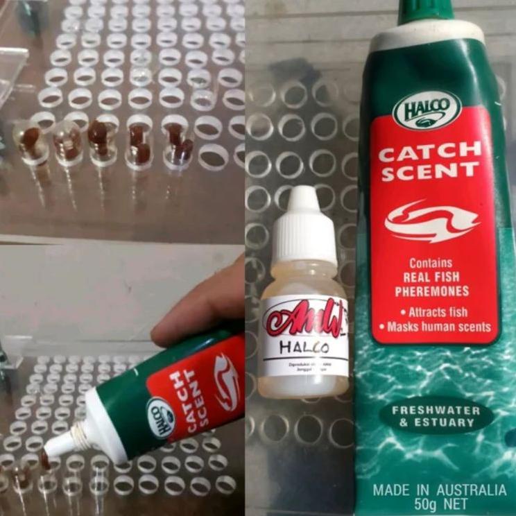 Jangan Sampai Kehabisan 5pcs Halco Instan Air Tawar 1x Pakai Kemasan Kapsul Ori Made In Australia