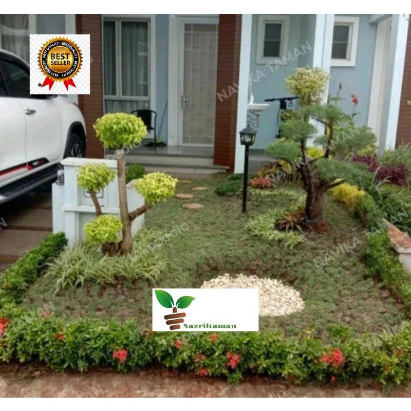 Paket Bikin Taman Minimalis - Jasa Taman Minimalis