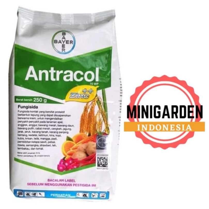 FUNGISIDA ANTRACOL 250GRAM antracol 70 WP + ZINC obat pengendali hama pembasmi jamur busuk buah tanaman