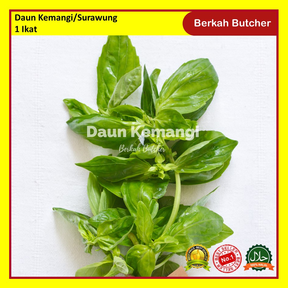 Daun Kemangi Segar / Surawung - Berkah Butcher
