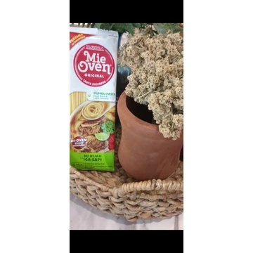 

MIE OVEN MAYORA