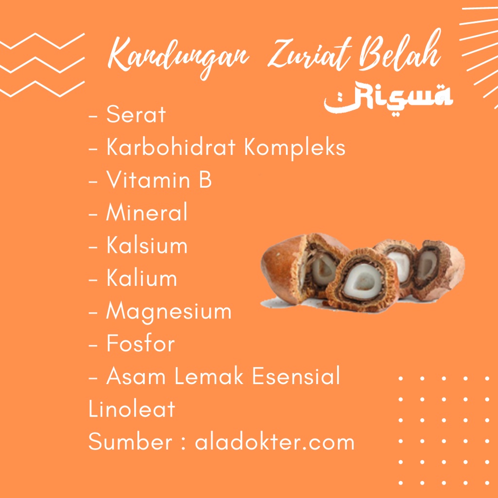 Buah Zuriat Belah Promil Asli 1KG ORIGINAL Mesir Belahan Dzuriat Juriat Zuriyat Mahasin Doum ORI Kupas