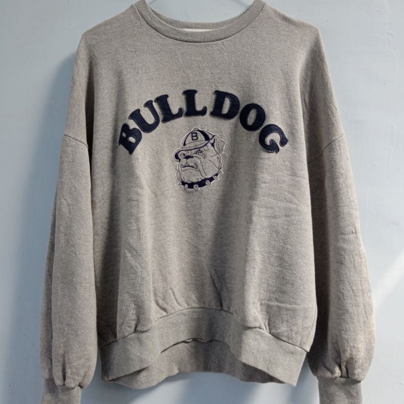 Sweater bulldog