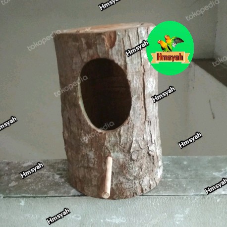 Kandang Burung Glodok Burung Murai Besar