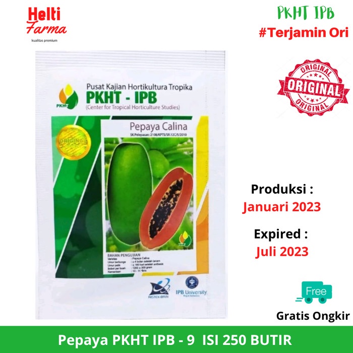 Benih Benih Pepaya Calina/California Ipb 9 Pkht-(250Butir)