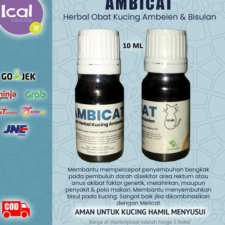 Ready Stok AMBICAT Obat Herbal Kucing Ambeien Wasir Bisulan